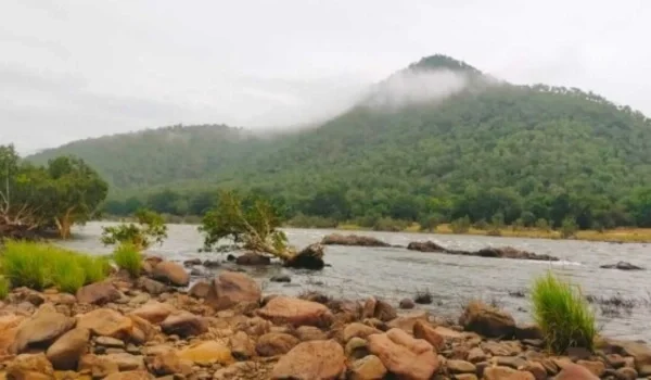 Featured Image of Galibore Nature Camp
